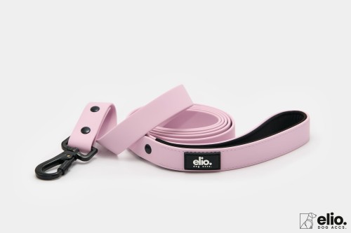 Dog accs03316__.jpg