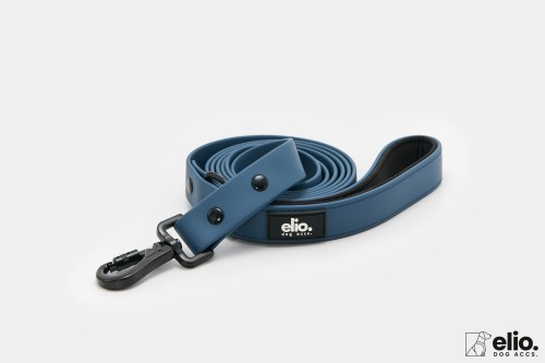 Dog accs03343__.jpg