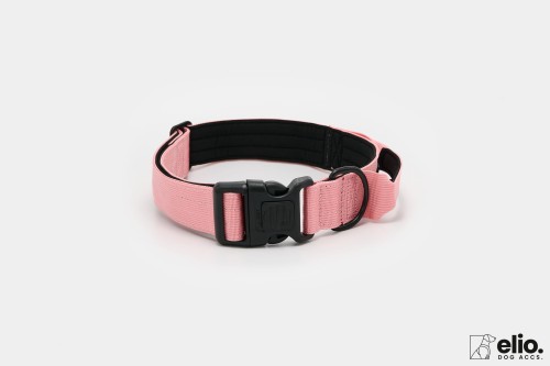 Dog accs03205__.jpg