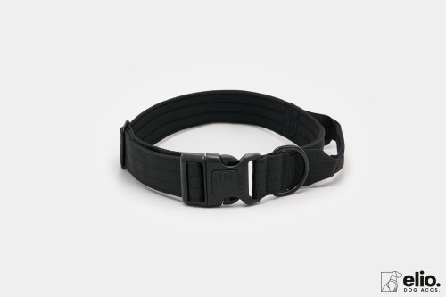 Dog accs03222__.jpg