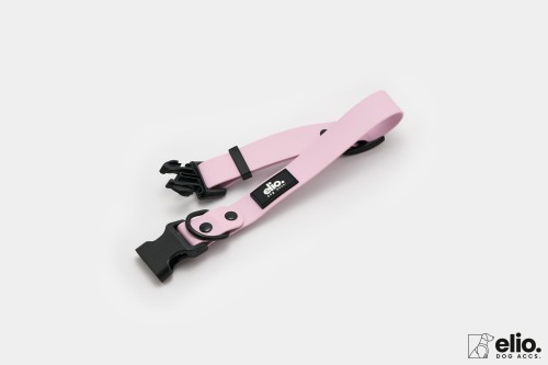 Dog accs03257__.jpg
