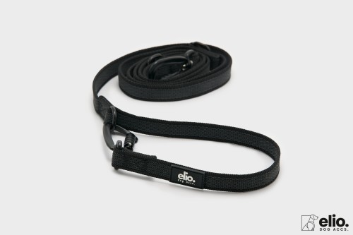Dog accs03300__.jpg