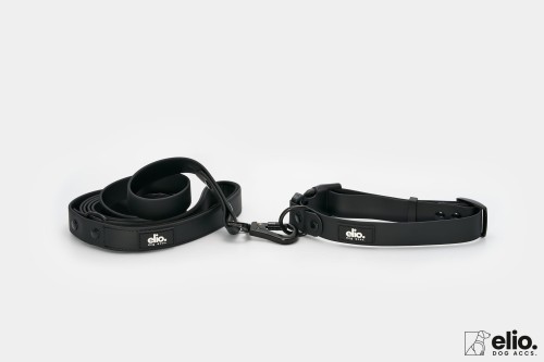 Dog accs03517__.jpg