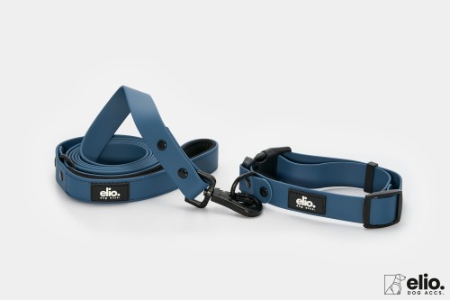 Dog accs03535__.jpg