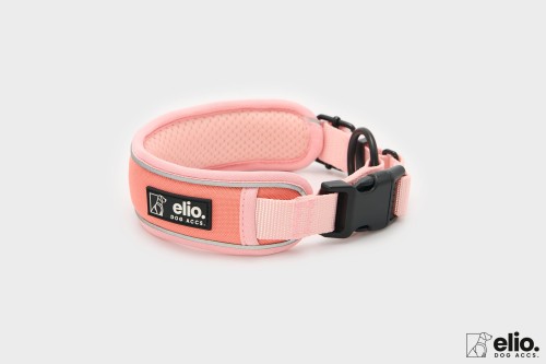 Dog accs08770__.jpg