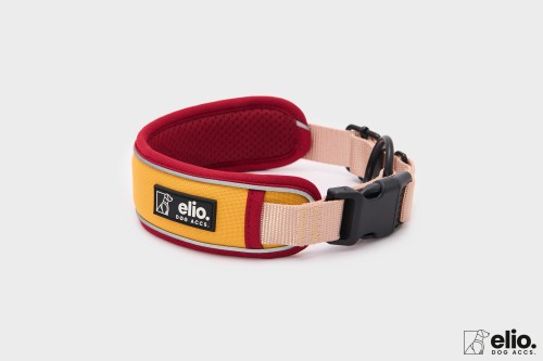 Dog accs08772__.jpg