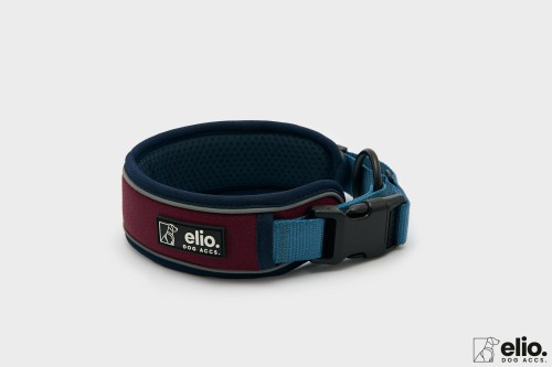 Dog accs02729__.jpg