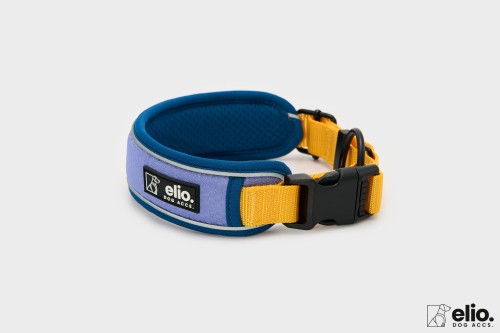 Dog accs08776__.jpg