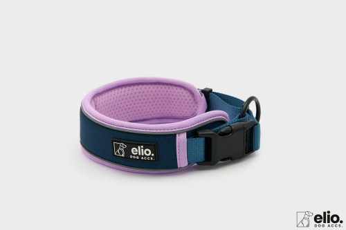 Dog accs02727__.jpg