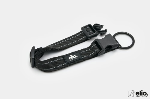 Dog accs03184__.jpg