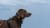 rozne-01360.jpg