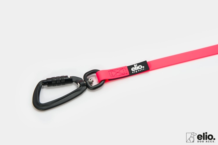 Dog accs03498__.jpg