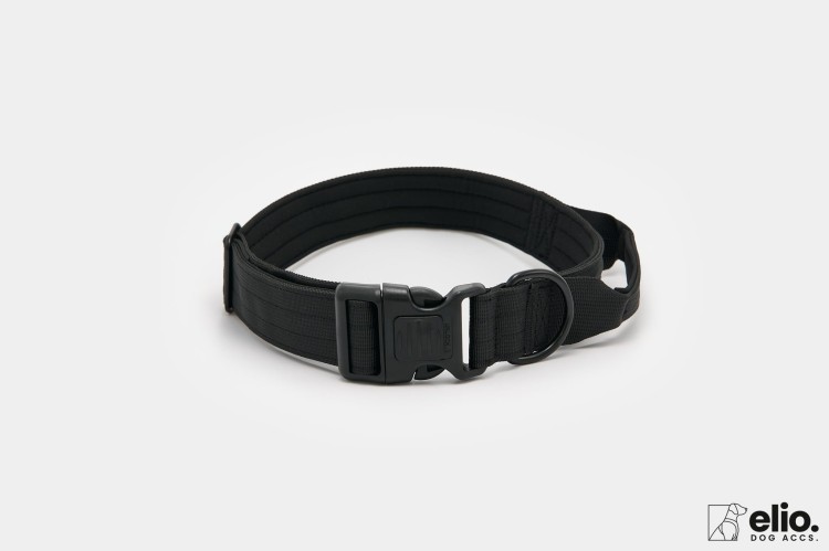 Dog accs03222__.jpg