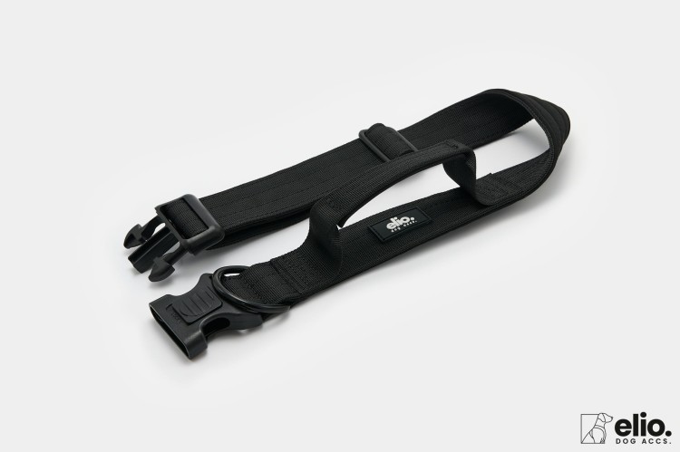 Dog accs03226__.jpg