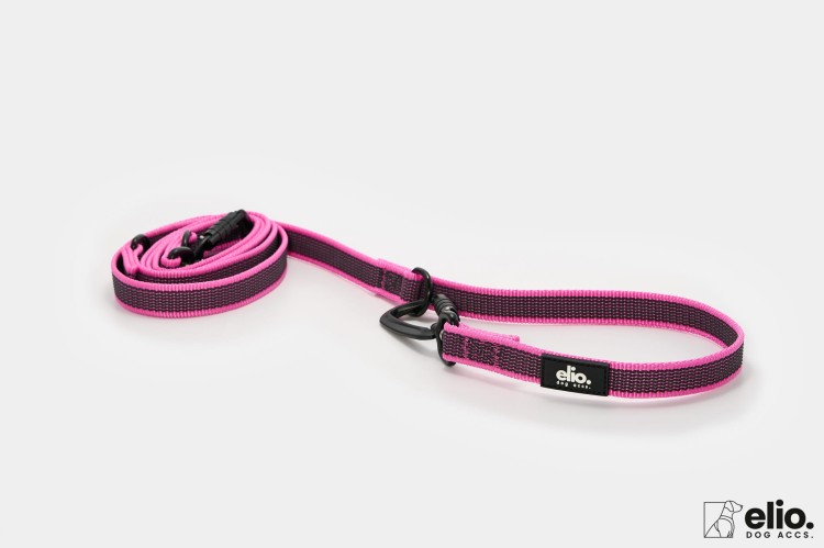 Dog accs03488__.jpg