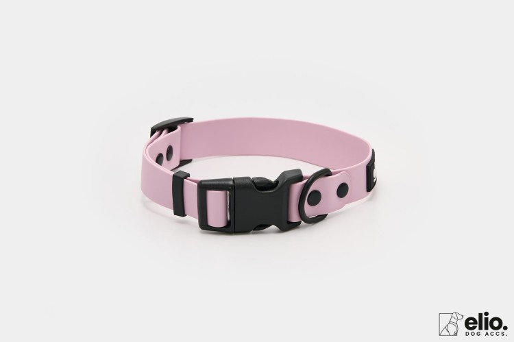 Dog accs03256__.jpg