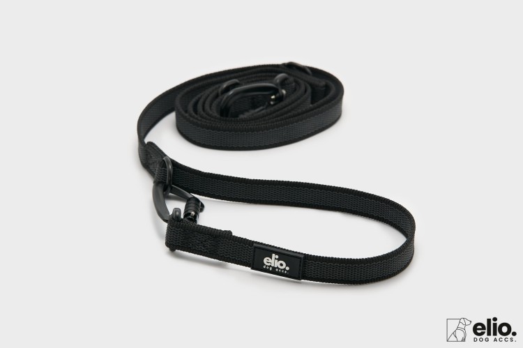 Dog accs03300__.jpg