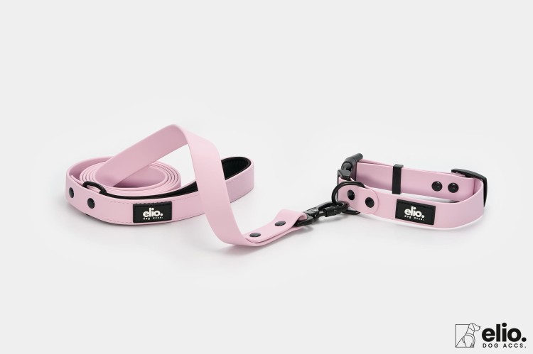 Dog accs03530__.jpg