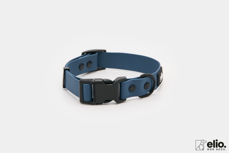 Dog accs03236__.jpg