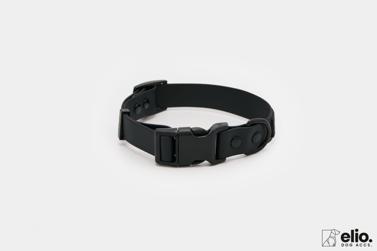 Dog accs03261__.jpg