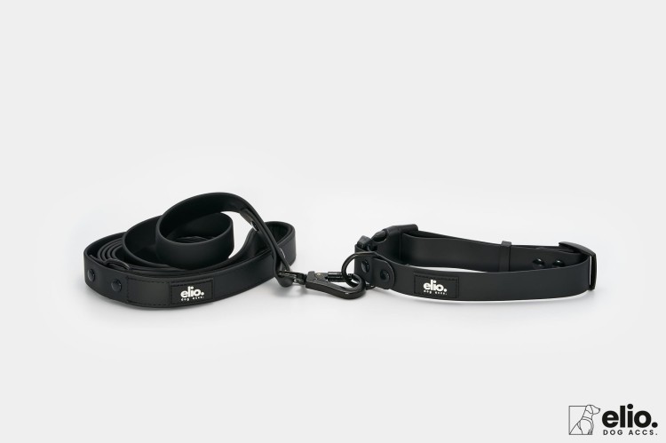 Dog accs03517__.jpg