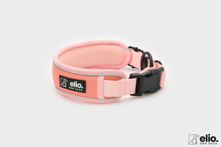Dog accs08770__.jpg
