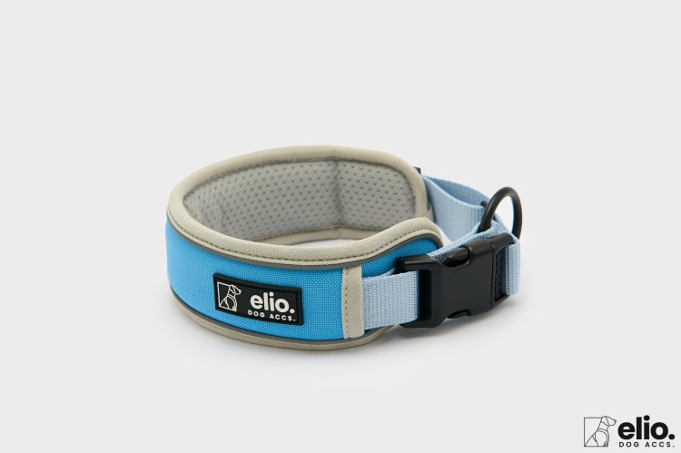Dog accs02725__.jpg