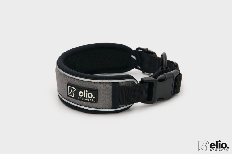 Dog accs08774__.jpg