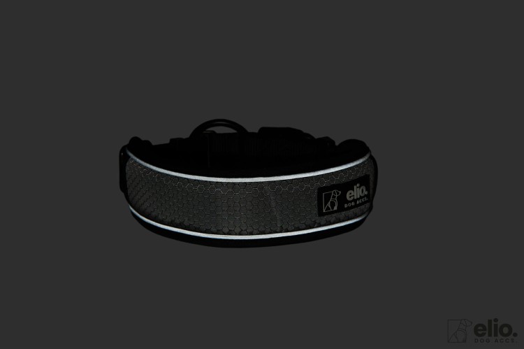 Dog accs08815__.jpg