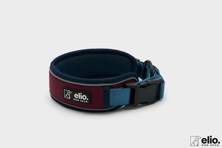 Dog accs02729__.jpg