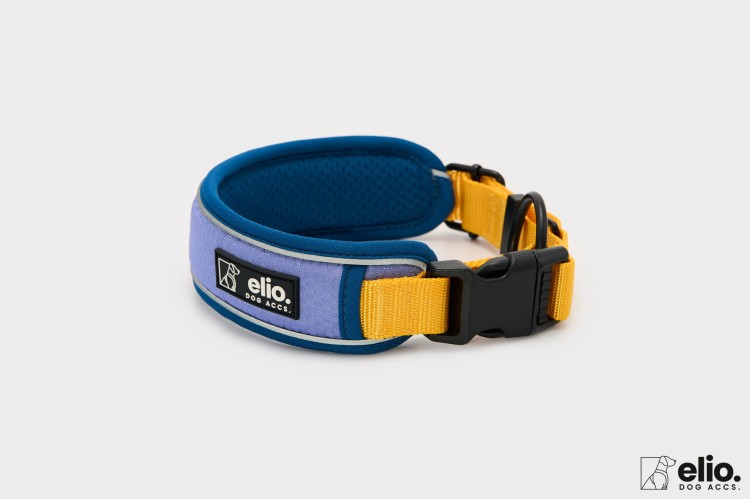 Dog accs08776__.jpg