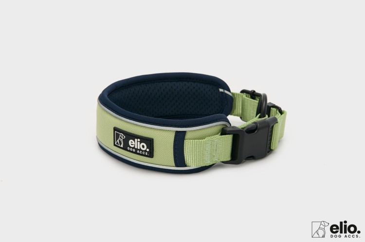 Dog accs08767__.jpg