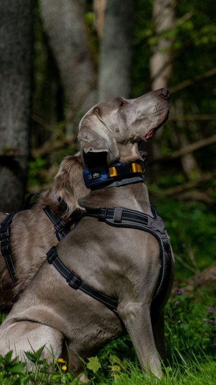 rozne-01212.jpg