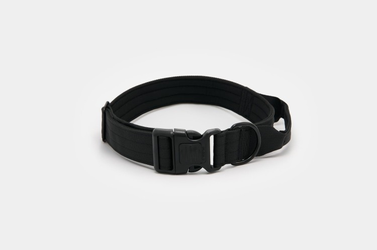 Dog accs03222__.jpg
