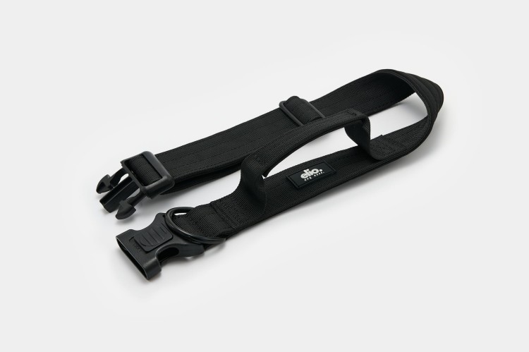 Dog accs03226__.jpg