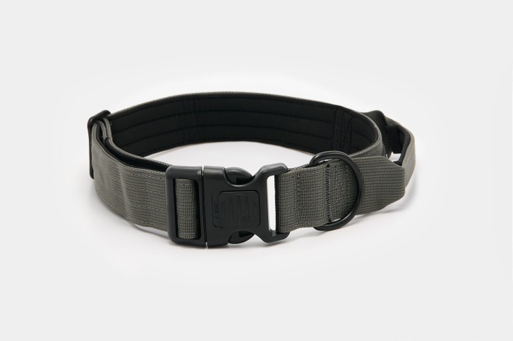 Dog accs03178__.jpg