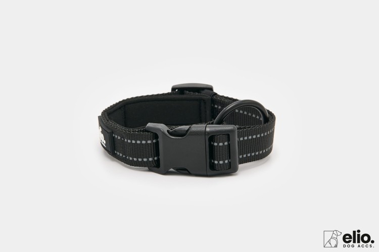 Dog accs03179__.jpg