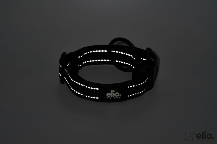 Dog accs03195__.jpg