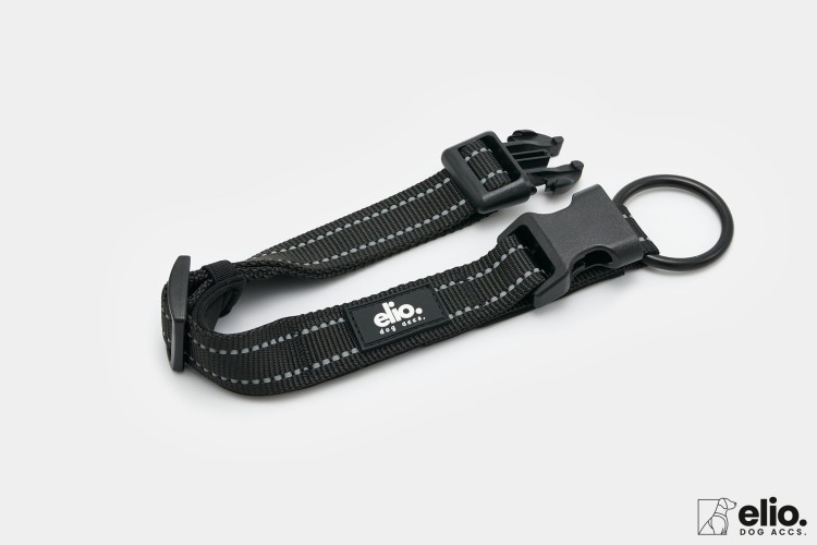 Dog accs03184__.jpg