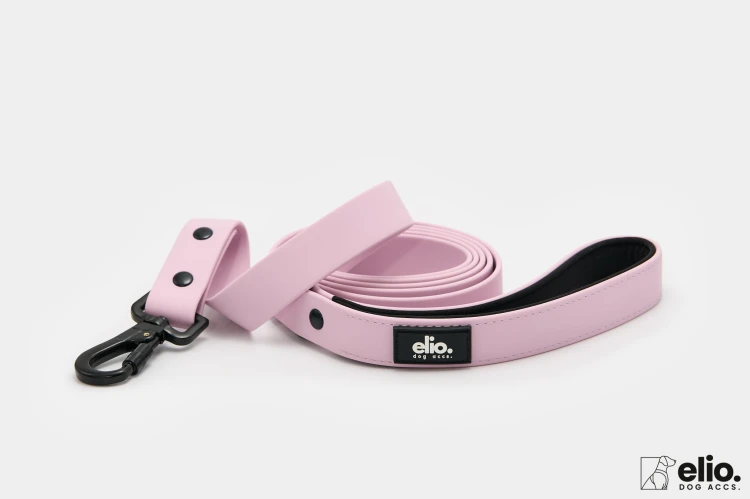 Dog accs03316__.jpg