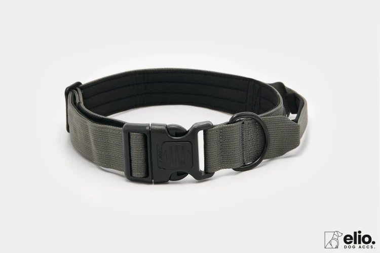 Dog accs03178__.jpg