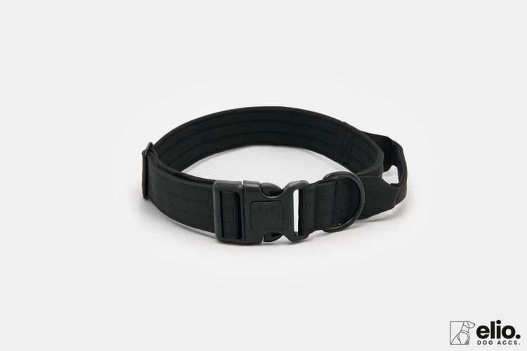 Dog accs03222__.jpg