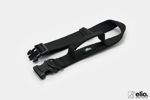 Dog accs03226__.jpg