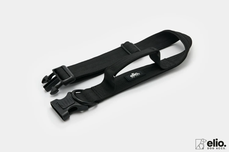 Dog accs03226__.jpg
