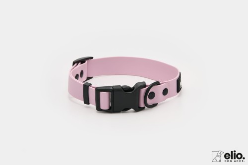 Dog accs03256__.jpg