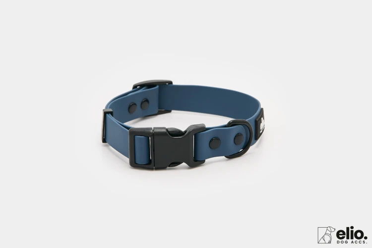 Dog accs03236__.jpg