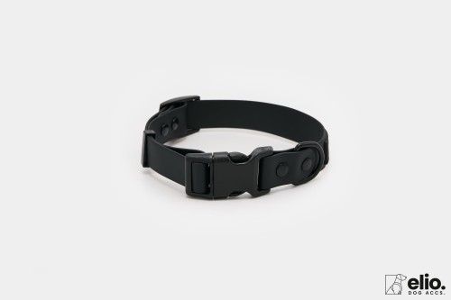 Dog accs03261__.jpg