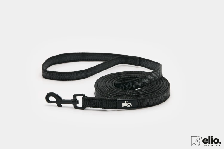 Dog accs03308__.jpg