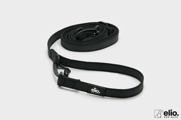 Dog accs03300__.jpg