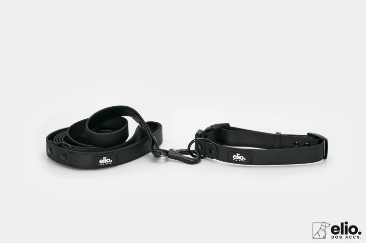 Dog accs03517__.jpg